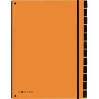 PAGNA desk file 34x26.5x2cm 12 compartments orange