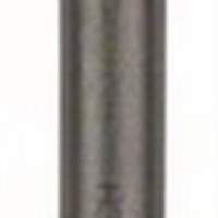BOSCH gouge SDS-plus L.250mm cutting B. 22mm curved shape