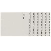 Leitz register series 13120085 DIN A4 AZ for 12 folders dew paper grey